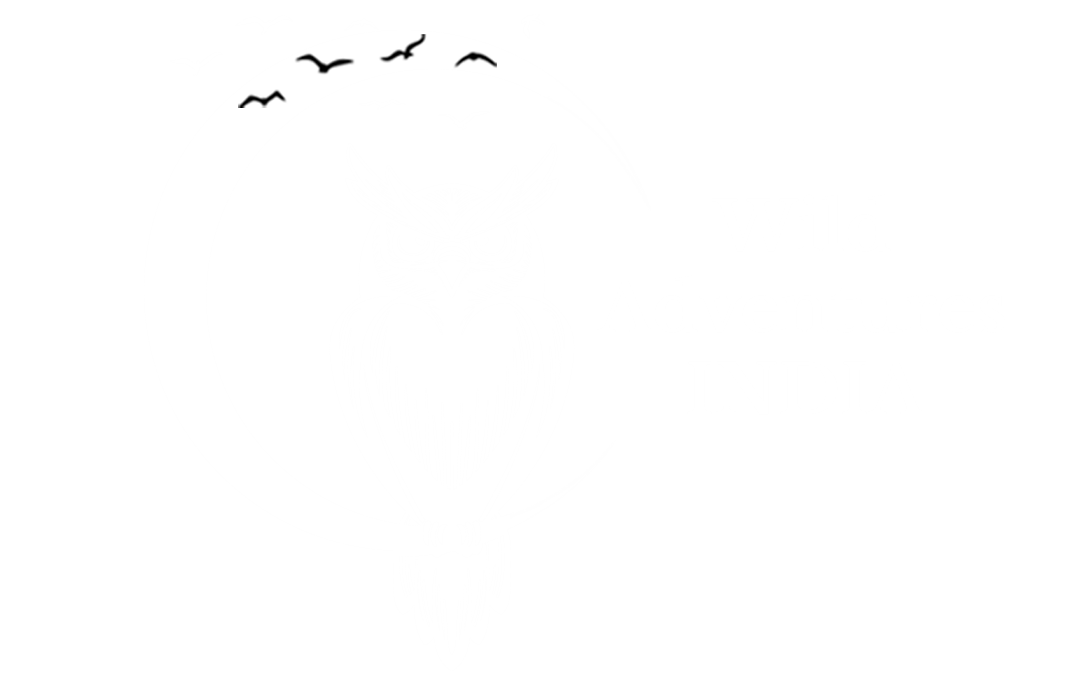 wildadventuresindia.
