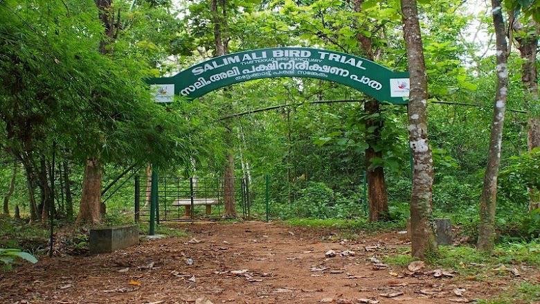 Salim Ali bird trail